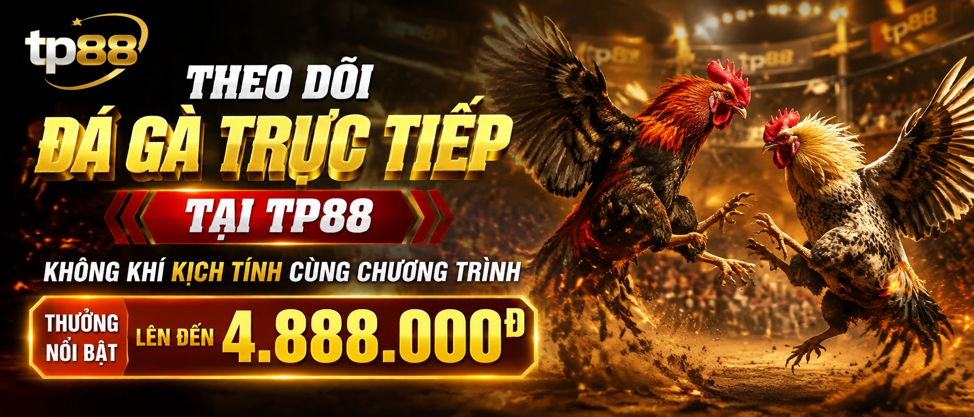 Đá Gà trực tiếp tại tp88 với giao diện phòng live rõ ràng